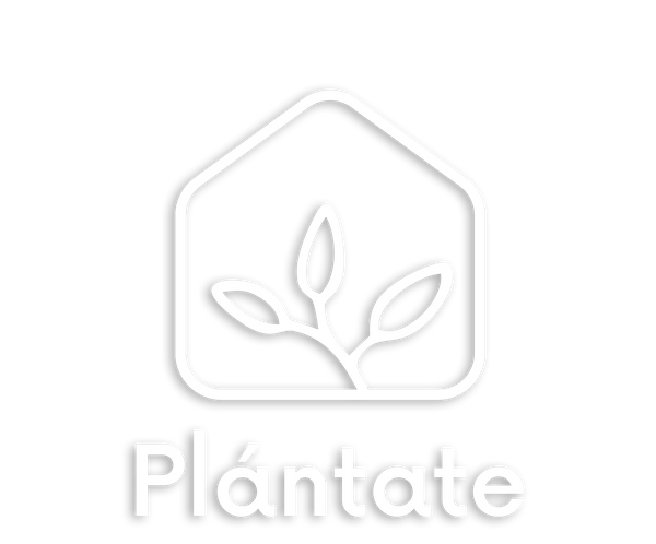 Plantate