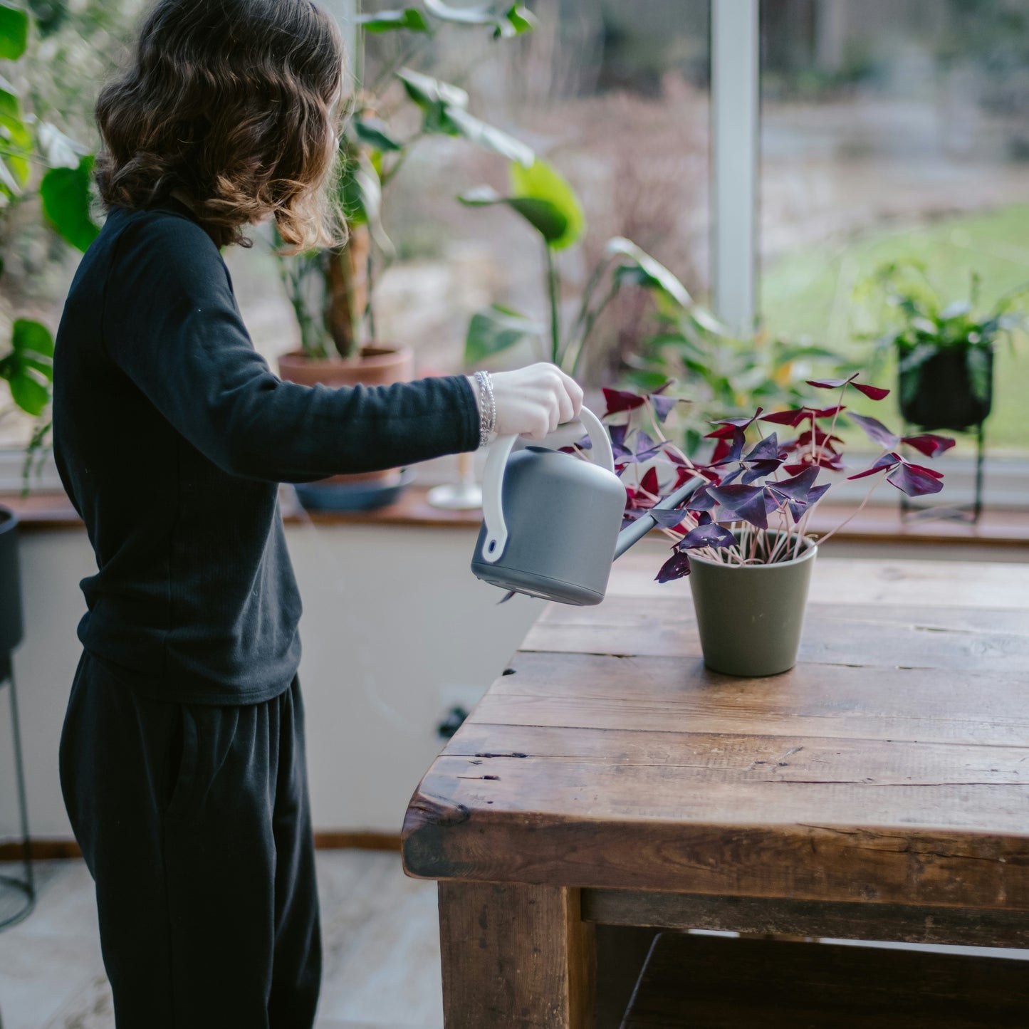 Plant Sitting - Niñera de Plantas