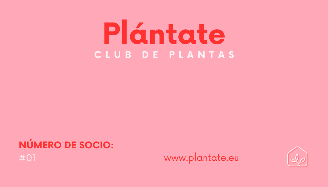 Suscripción Club de Plantas