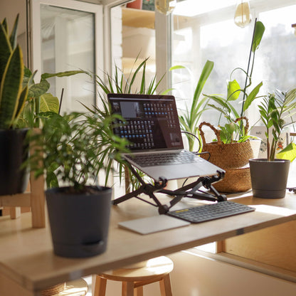 Diseño de interior con plantas