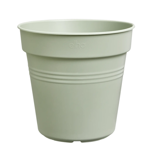 Maceta trasplante Green basics Growpot - Elho