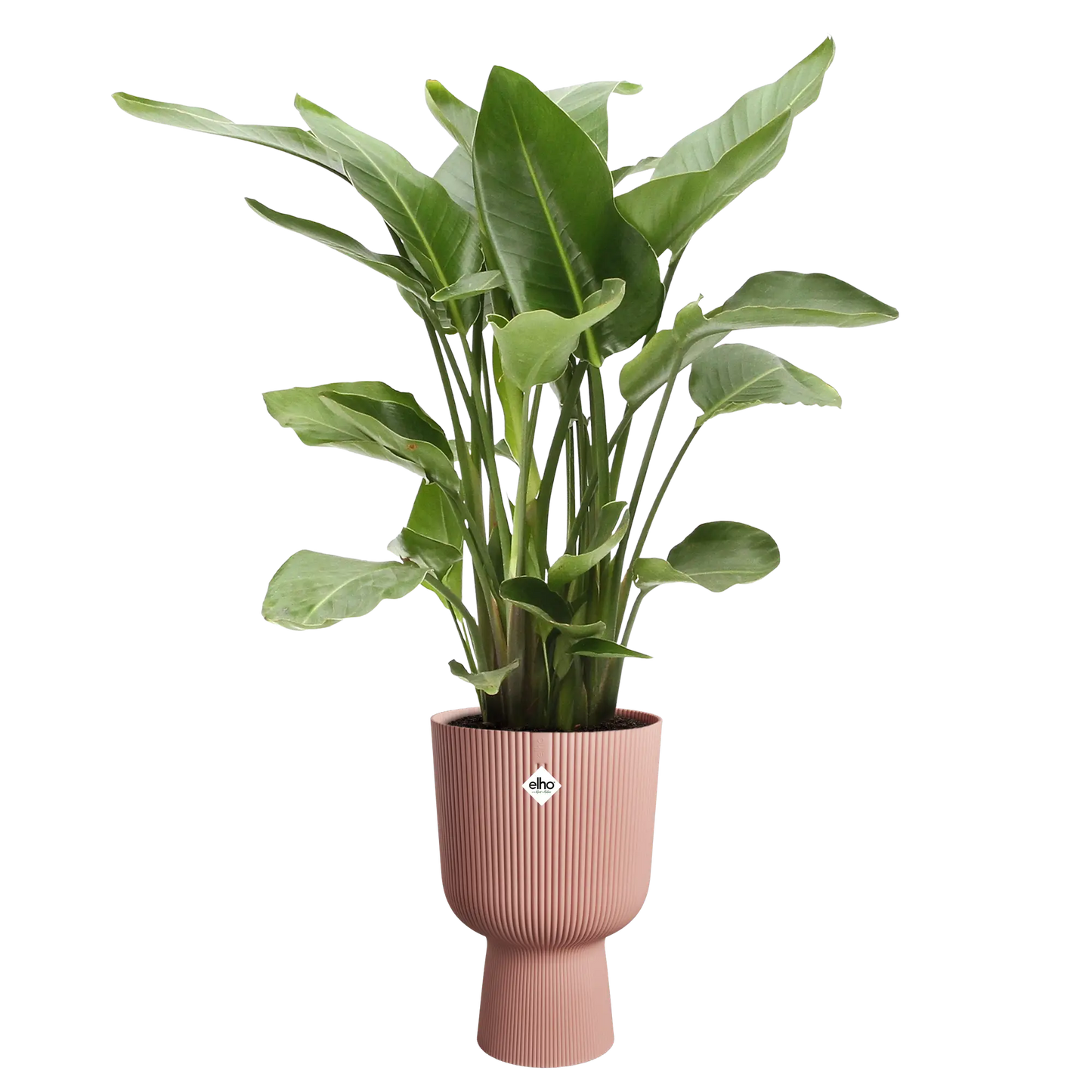 Maceta Vibes Fold Coupe 30cm - Elho